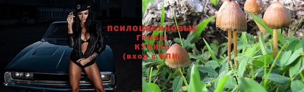 таблы Нея