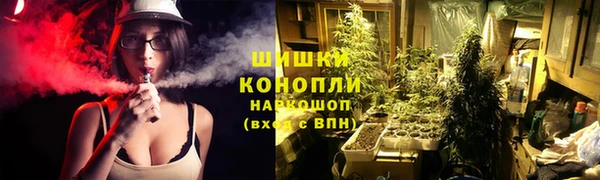 стаф Нефтегорск
