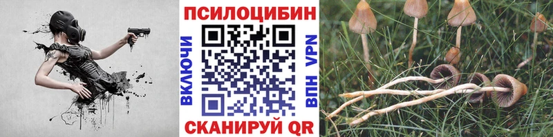 цена   Родники  Псилоцибиновые грибы MAGIC MUSHROOMS 