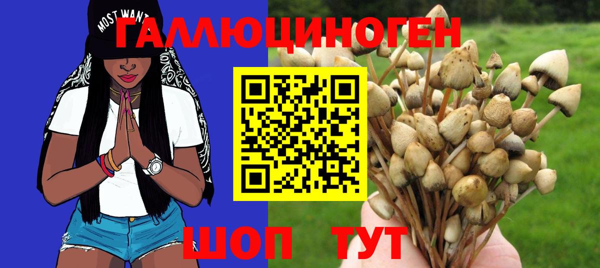 Псилоцибиновые грибы Magic Shrooms Родники